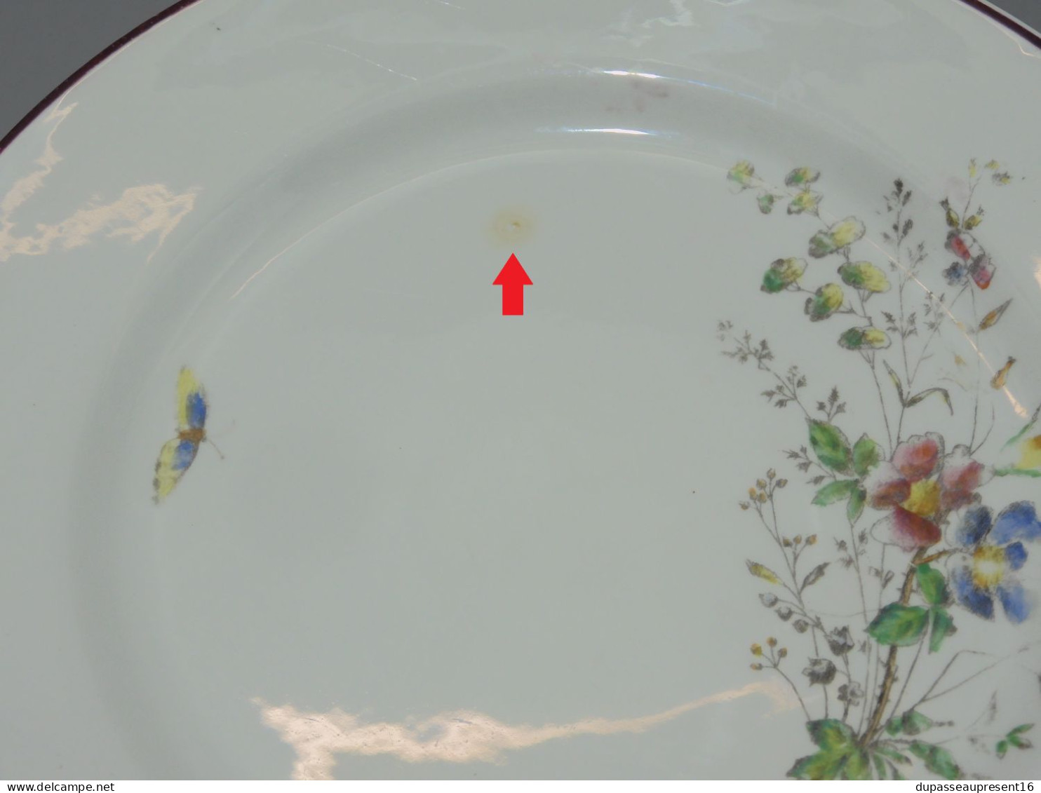 -5 ASSIETTES PLATES CERAMIQUE LONGWY décor de Fleurs Papillons insectes     E