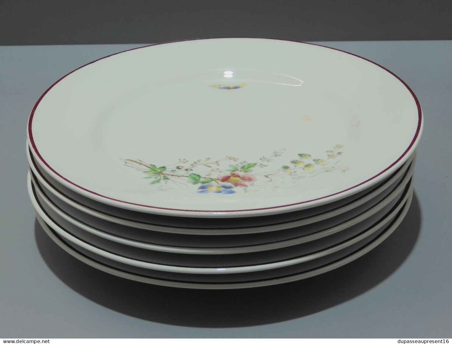 -5 ASSIETTES PLATES CERAMIQUE LONGWY décor de Fleurs Papillons insectes     E