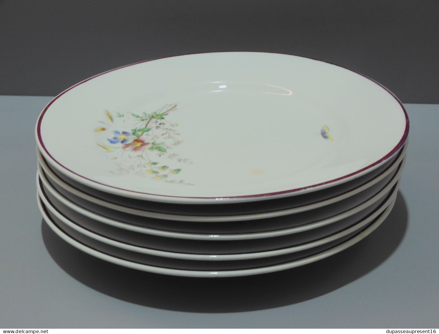 -5 ASSIETTES PLATES CERAMIQUE LONGWY décor de Fleurs Papillons insectes     E