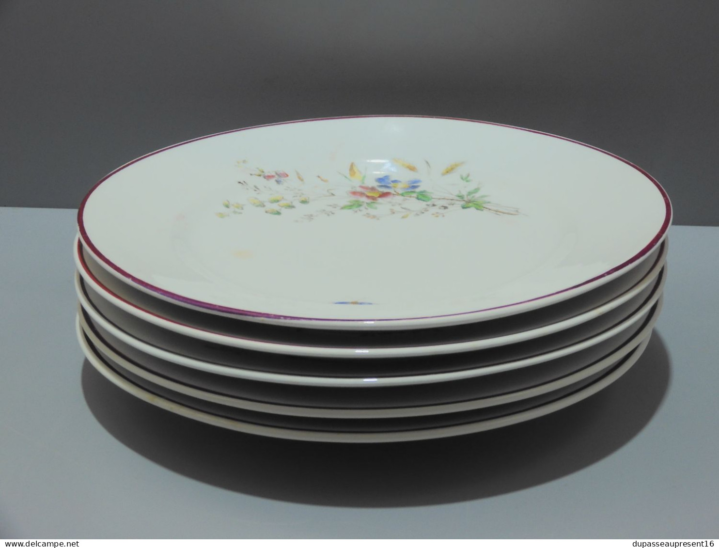 -5 ASSIETTES PLATES CERAMIQUE LONGWY décor de Fleurs Papillons insectes     E