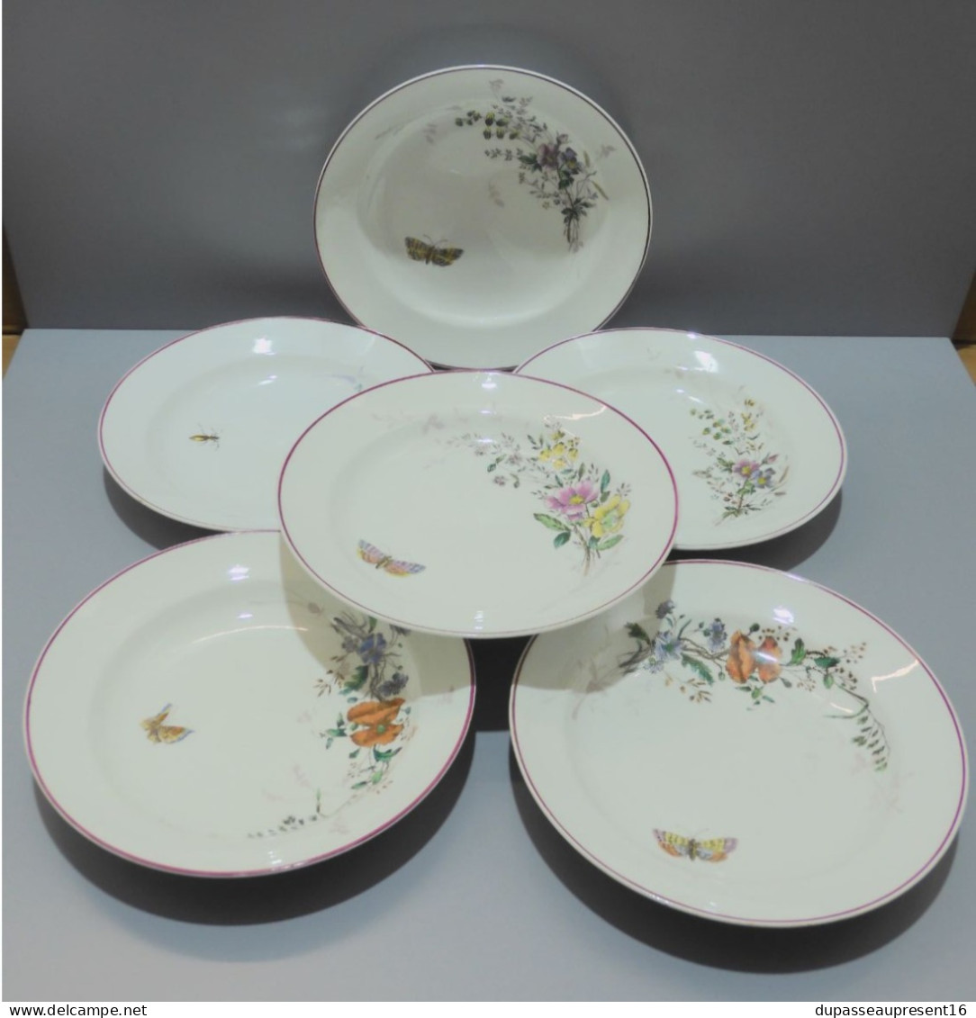 -6 ASSIETTES DEMIE CREUSE  CERAMIQUE LONGWY Décor Fleurs Papillons Insectes    E - Longwy (FRA)