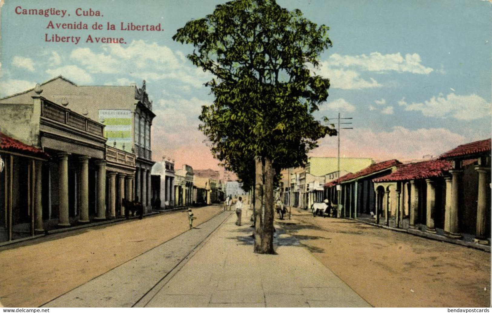 Cuba, CAMAGÜEY, Avenida De La Libertad (1910s) Postcard - Cuba