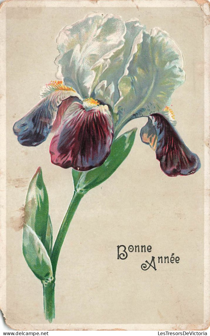 FLEUR, PLANTE, ARBRES - Fleur - Bonne Année - Carte Postale Ancienne - Bloemen