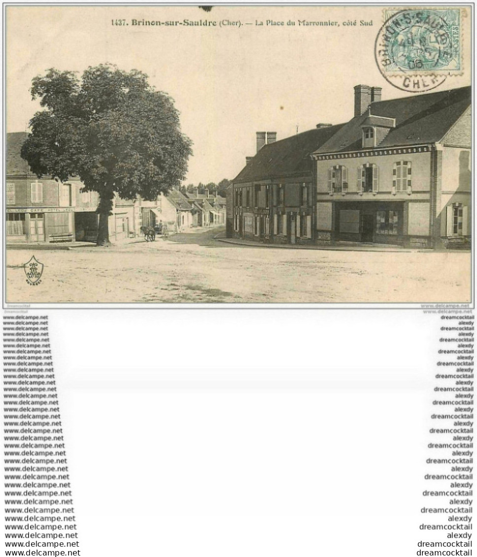 18 BRINON-SUR-SAULDRE. La Place Du Marronnier 1906. Café Hôtel L'Ecu Et Dauphin - Brinon-sur-Sauldre