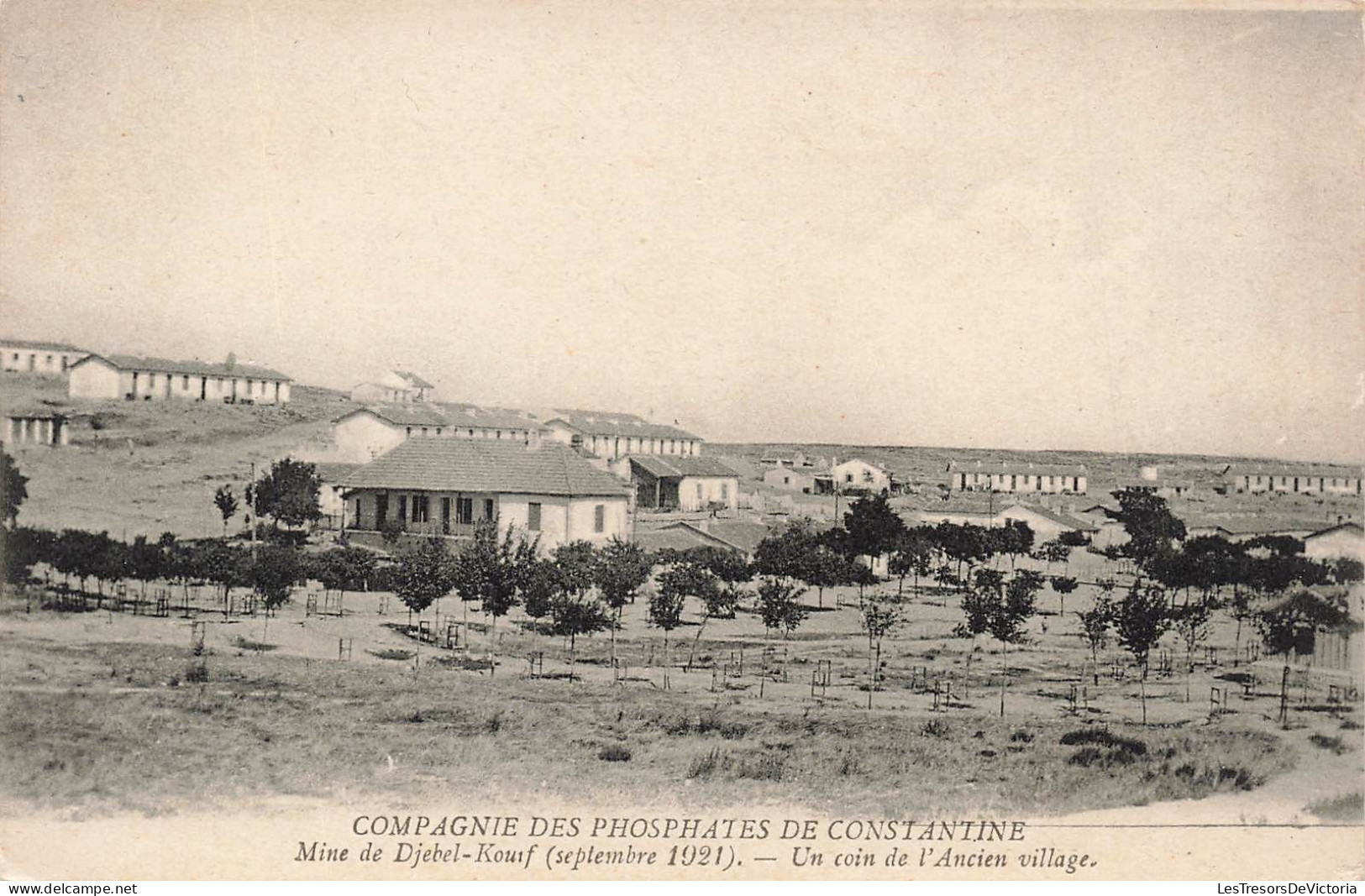 ALGÉRIE - Compagnie Des Phosphates De Constantine - Mine De Djebel-Kouif - Carte Postale Ancienne - Sonstige & Ohne Zuordnung