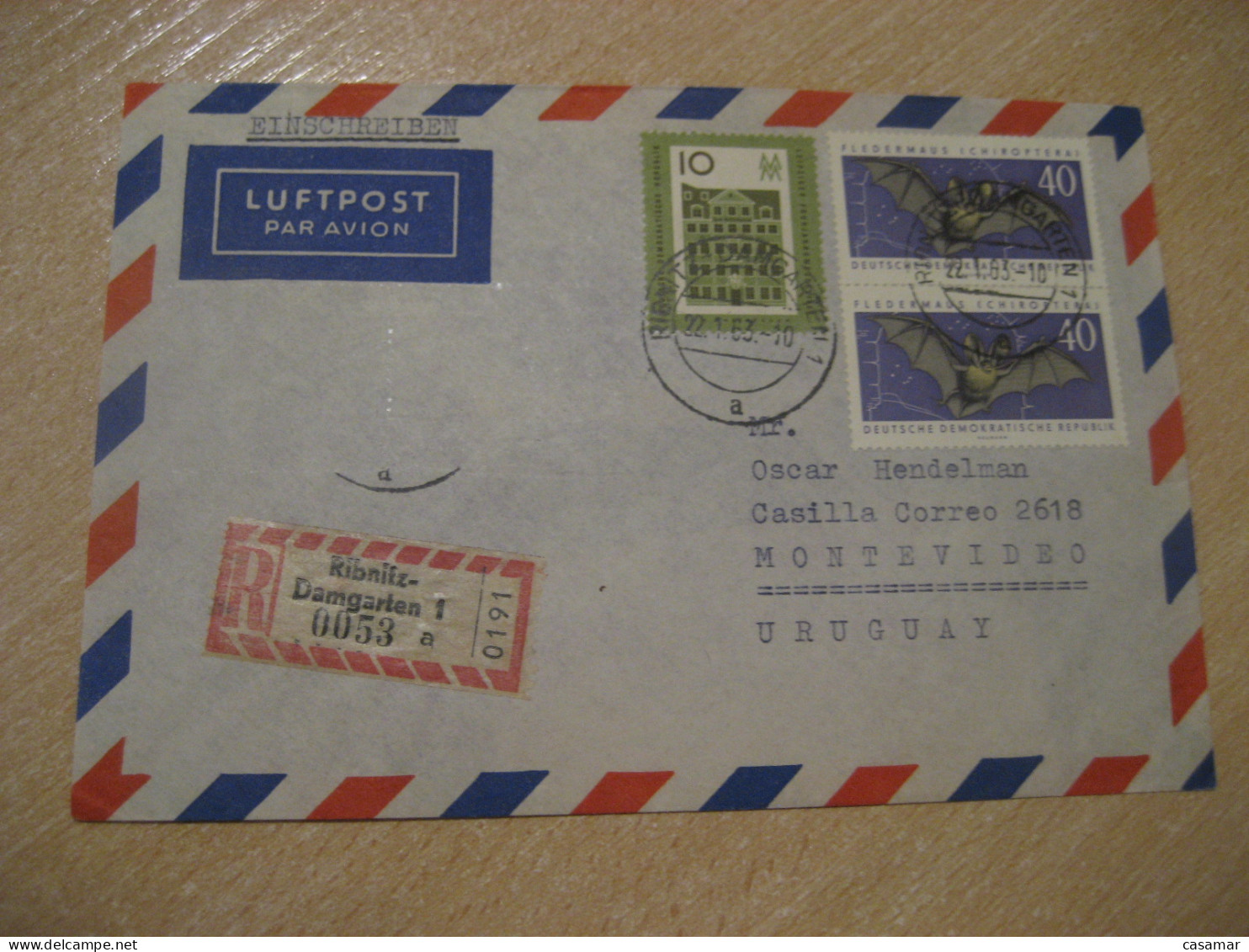 RIBNITZ-DAMGARTEN 1963 To Montevideo Uruguay Bat Bats Registered Cancel Cover DDR GERMANY Chauve Souris - Murciélagos