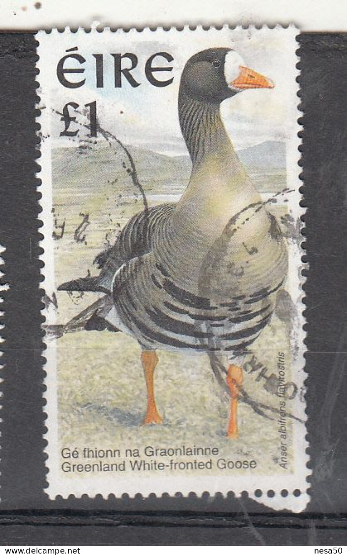 Ierland 1997 Mi Nr 980 : Groenlandse Kolgans, Vogels, Bird - Oblitérés