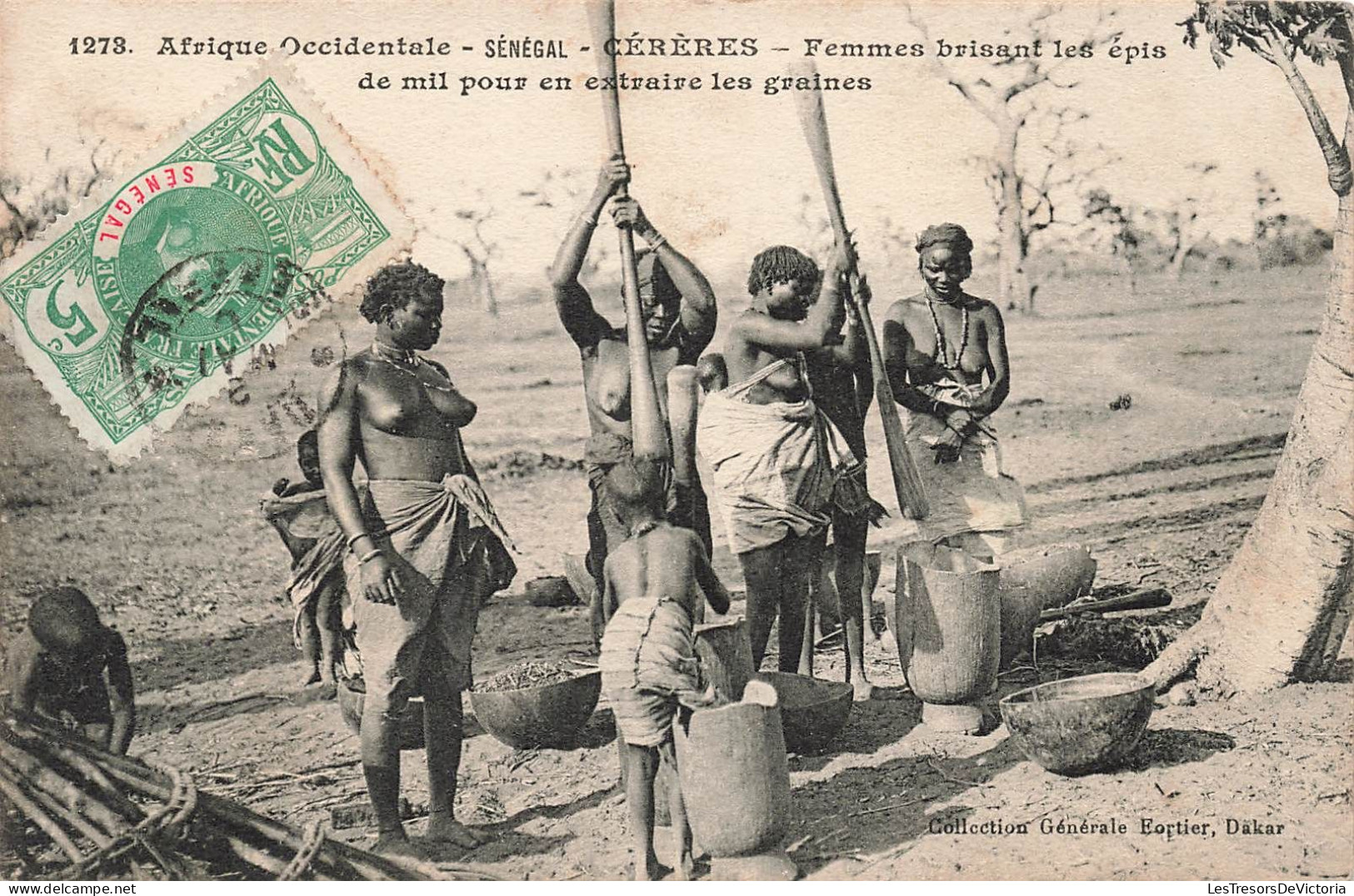 SENEGAL - Cérères - Femmes Brisant Les épis De Mil Pour Extraire Les Graines - Carte Postale Ancienne - Senegal