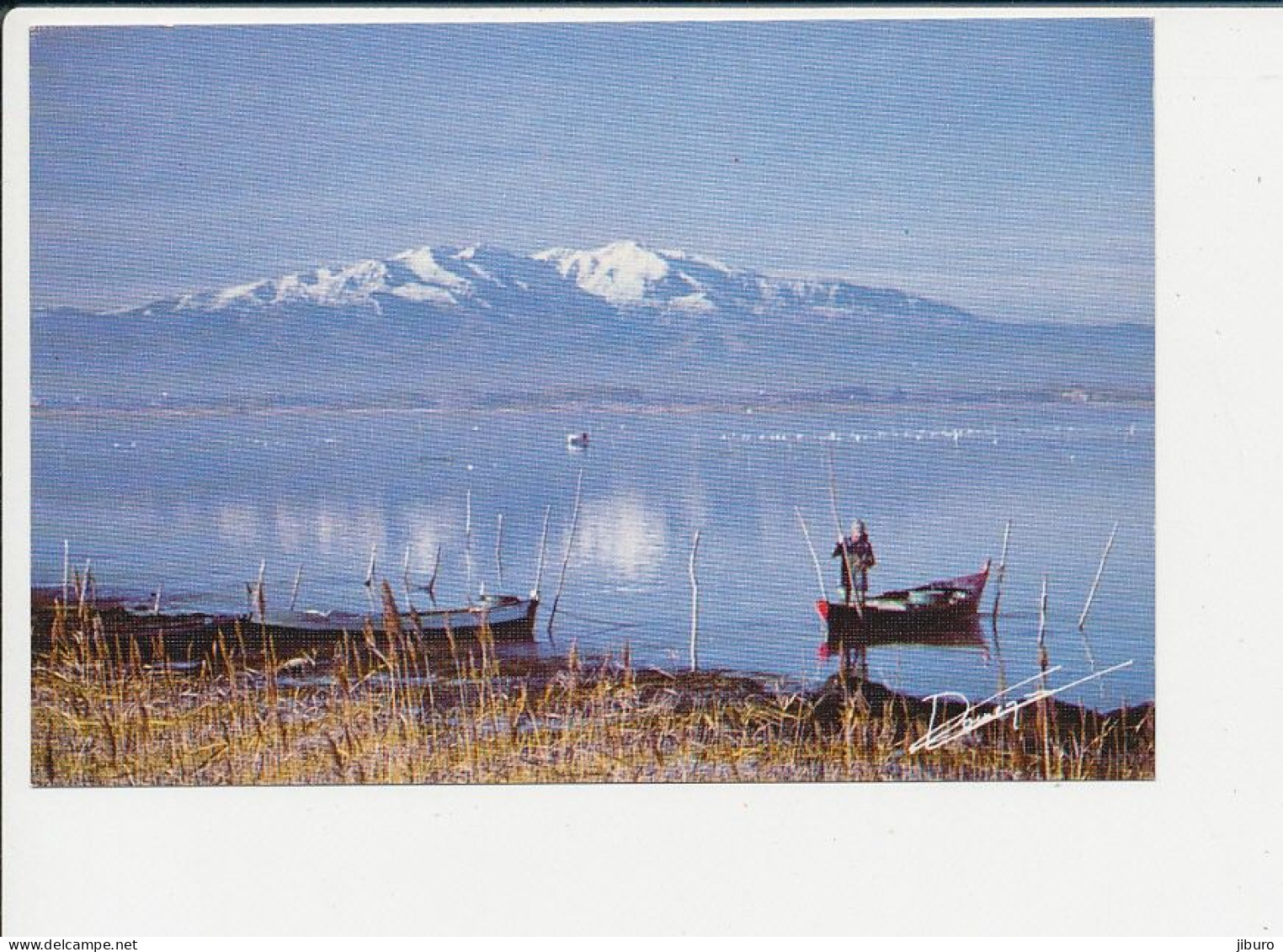 (bon état) Etang De Canet St Nazaire Et Le Canigou Mont CP 2/305 - Canet En Roussillon