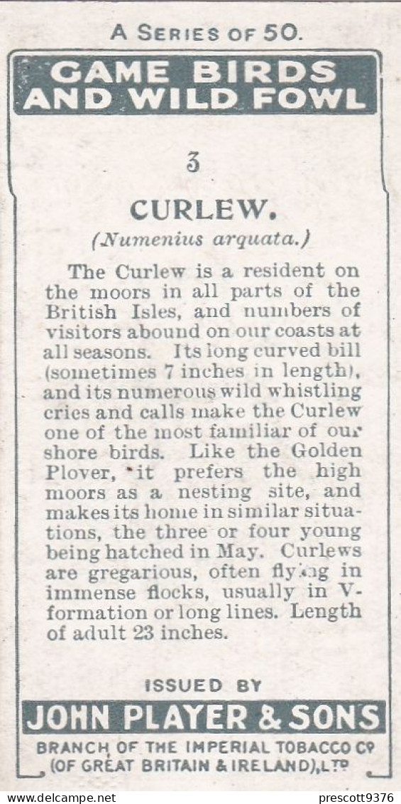 3 Curlew  - Game Birds & Wildfowl 1927  - Players Cigarette Card - Original - Player's