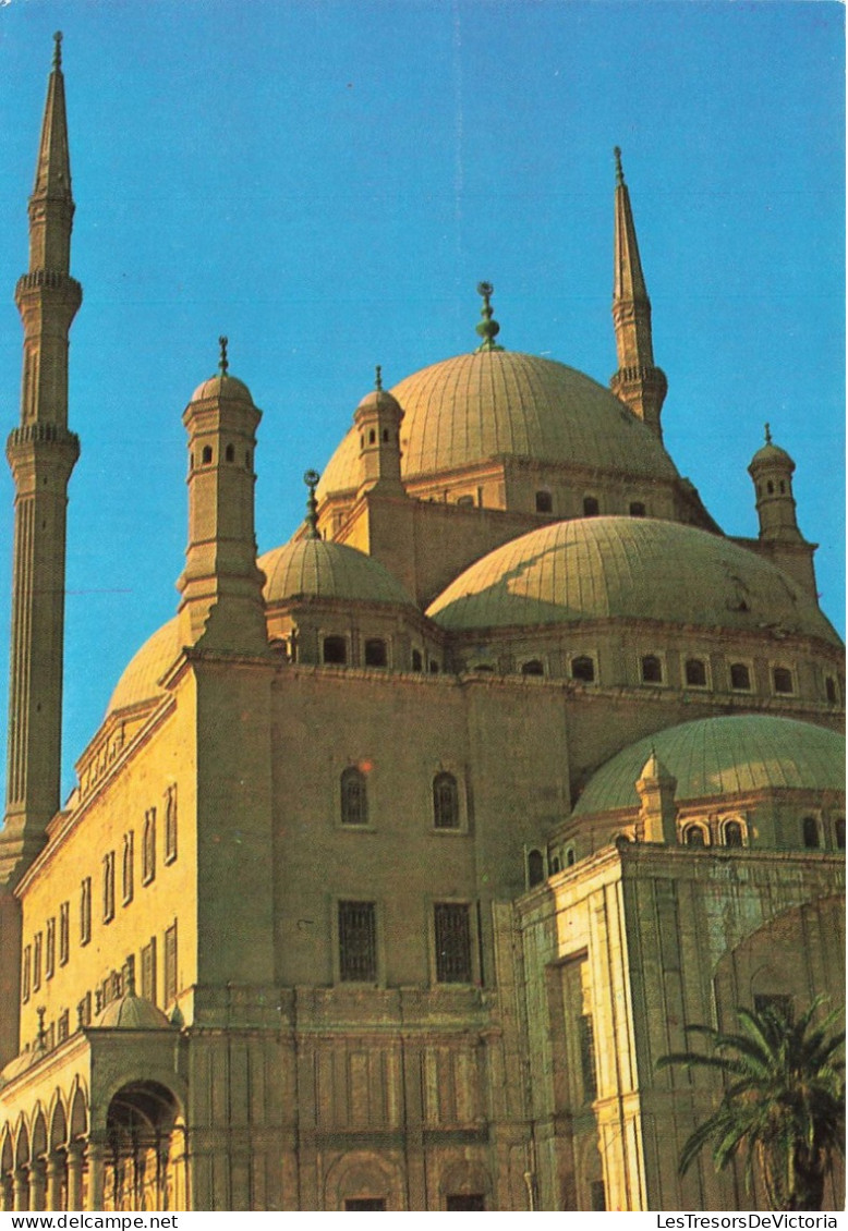 EGYPTE - Le Caire - Citadelle - Mohamed Aly Mosque - Carte Postale - Cairo