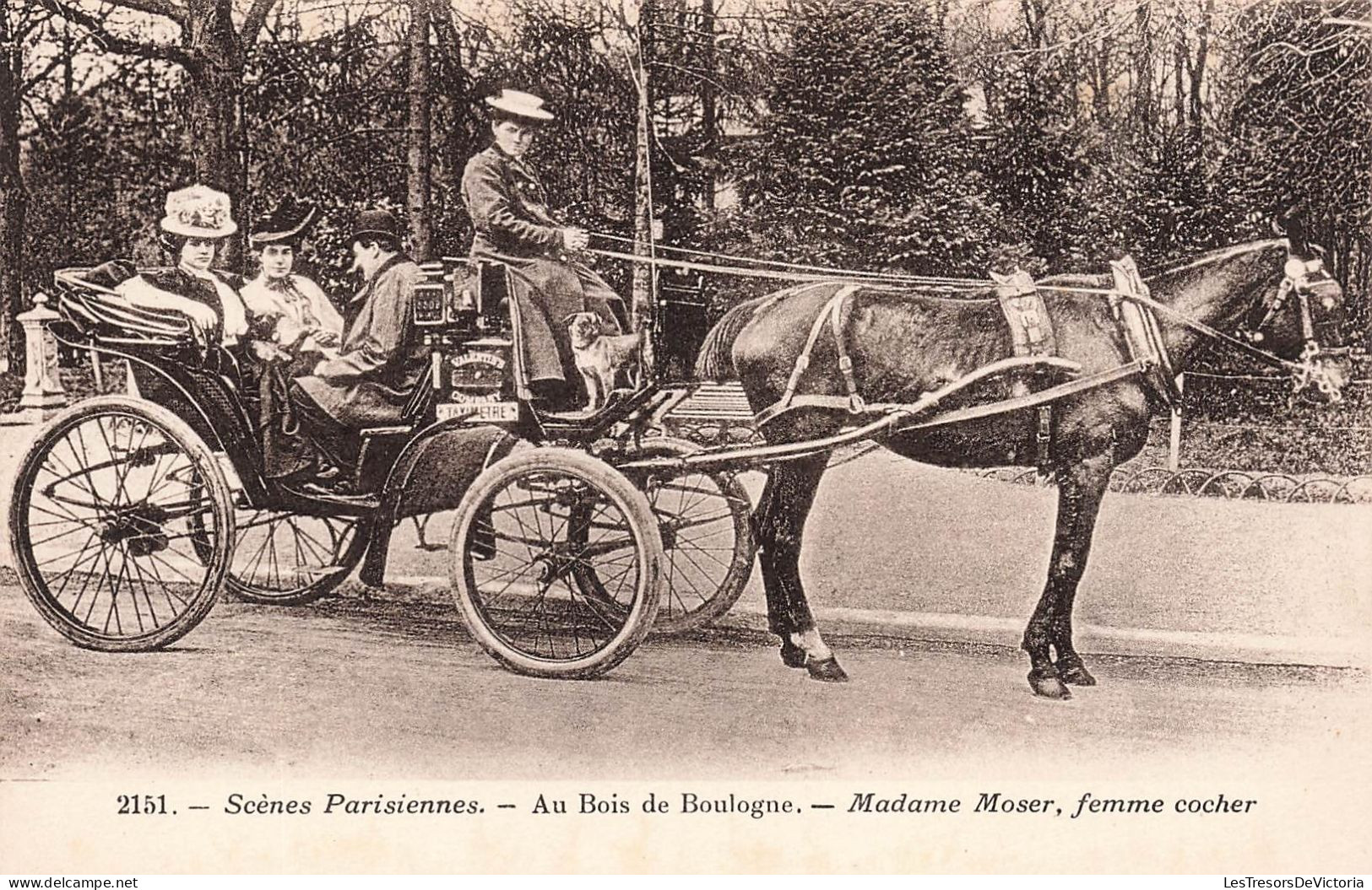 FRANCE - Paris - Au Bois De Boulogne - Madame Moser, Femme Cocher - Carte Postale Ancienne - Parks, Gardens