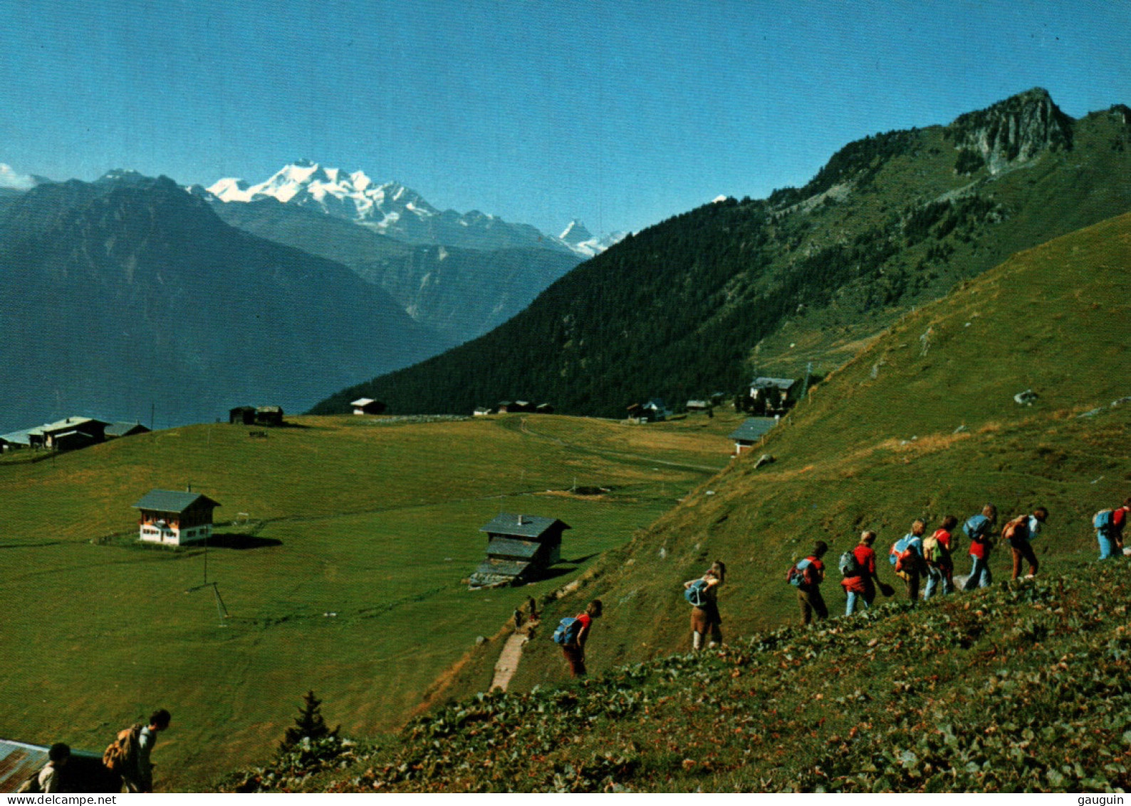 CPM - RIEDERALP - Vue Panoramique (randonneurs) - Edition Klopfenstein - Riederalp