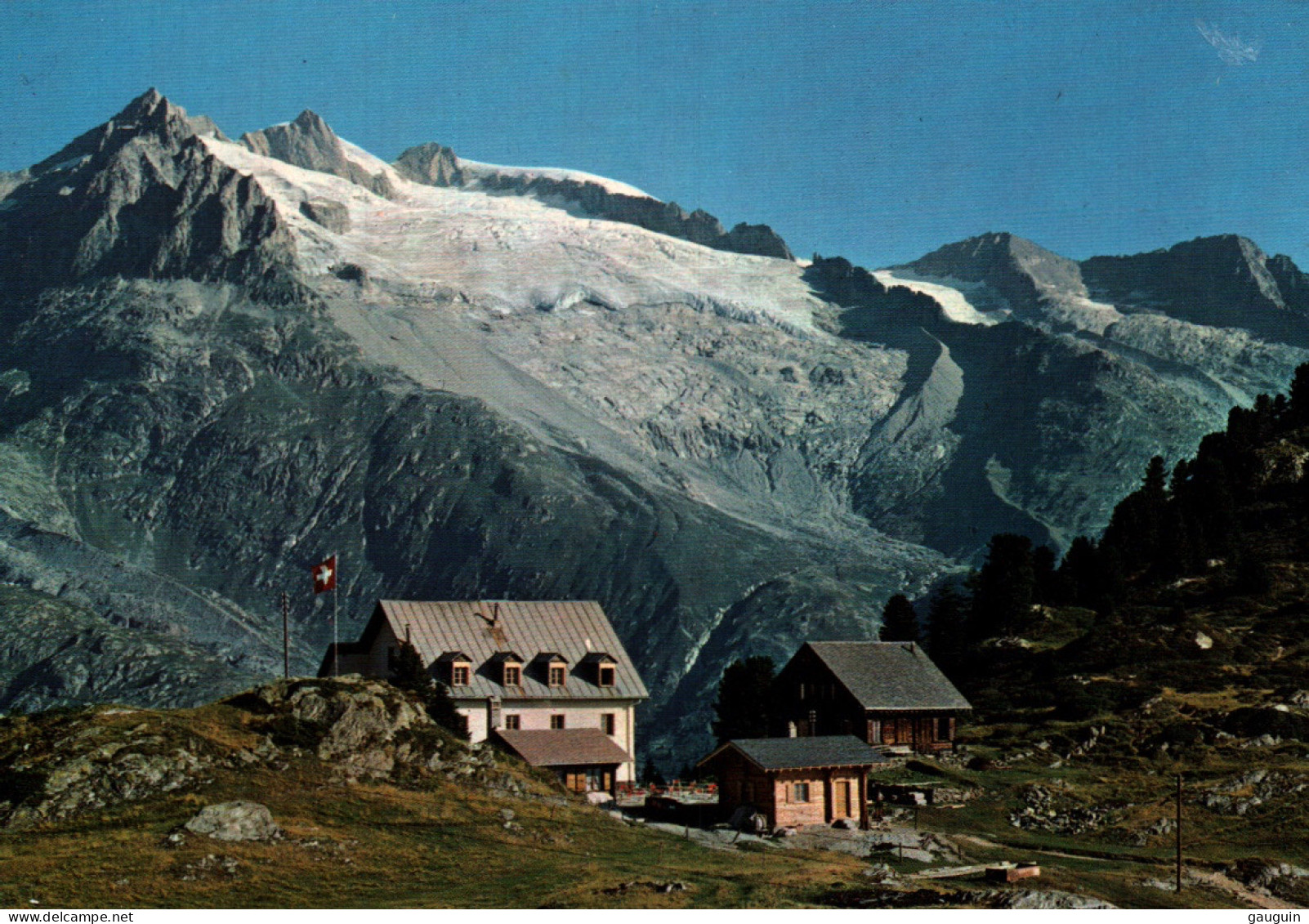 CPM - RIEDERFURKA - Vue Panoramique Sur Le Glacier D'ALETSCH - Edition Klopfenstein - Riederalp