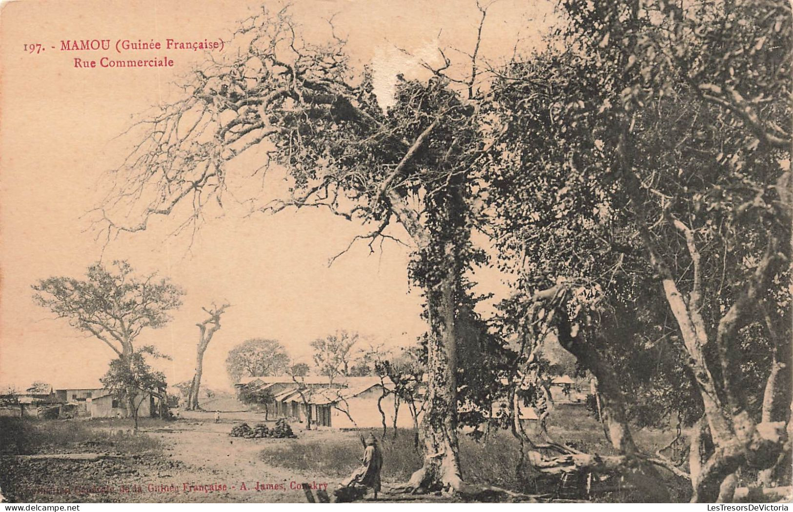 GUINEE FRANCAISE - Mamou - Sur La Rue Commerciale - Carte Postale Ancienne - Guinée Française