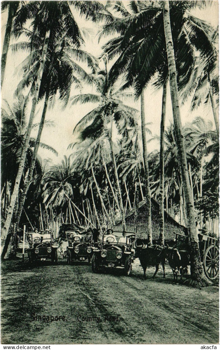 PC SINGAPORE, COUNTRY ROAD, VINTAGE POSTCARD (b1840) - Singapour