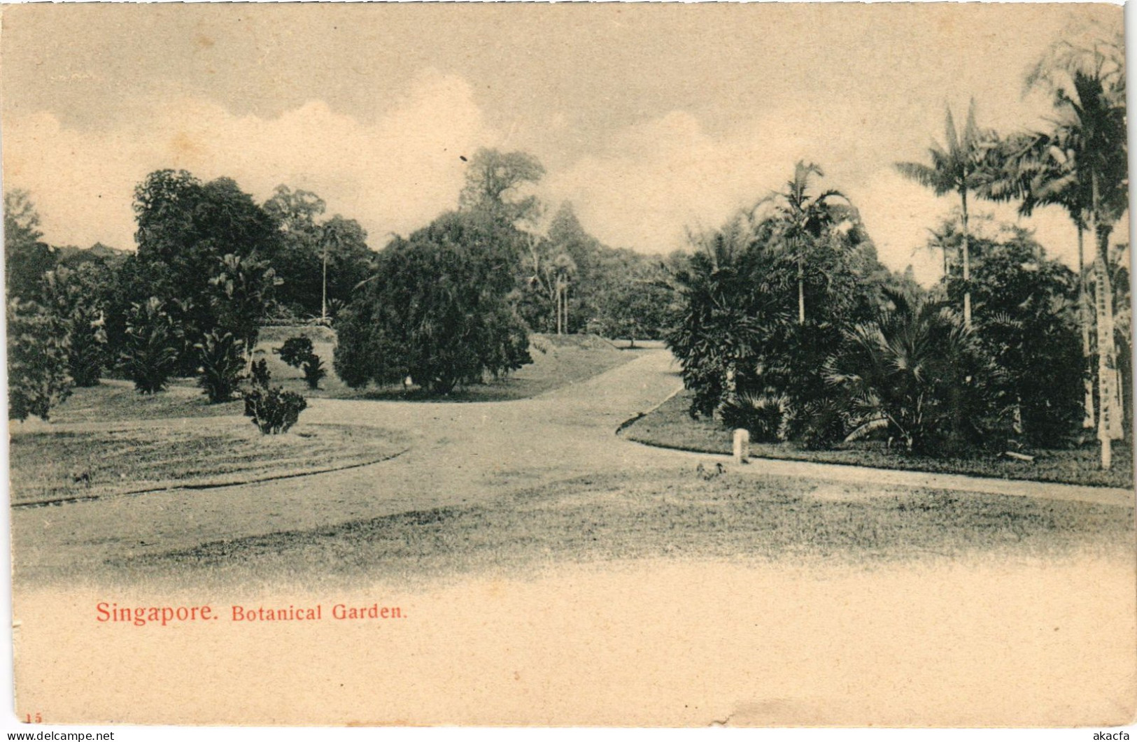 PC SINGAPORE, BOTANICAL GARDEN, VINTAGE POSTCARD (b1829) - Singapour