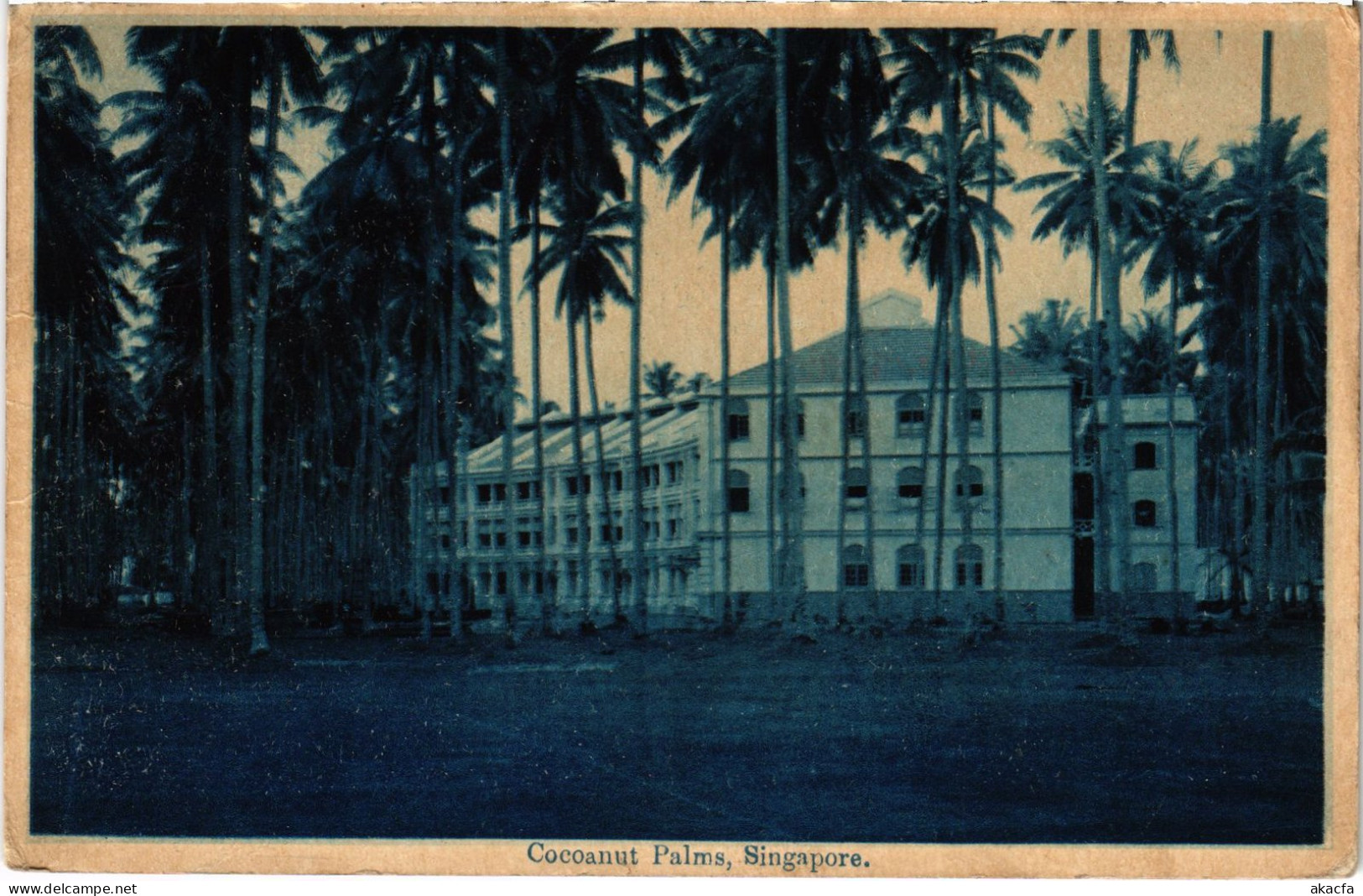 PC SINGAPORE, COCONUT PALMS, VINTAGE POSTCARD (b1306) - Singapour