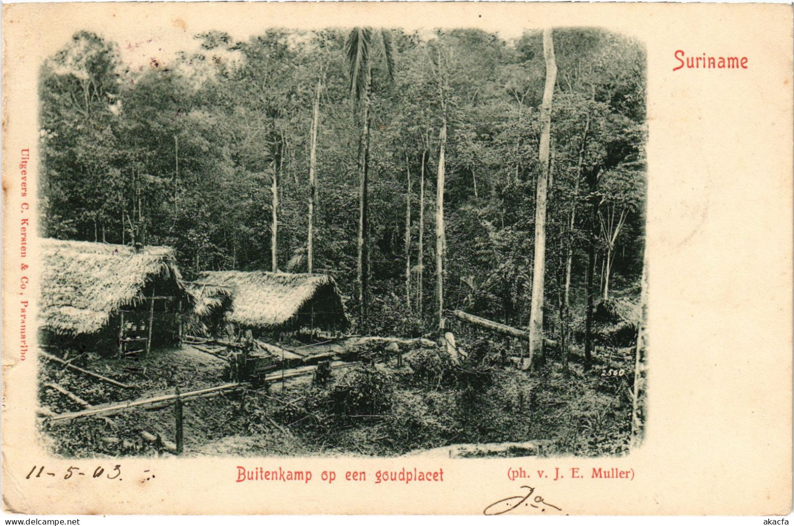 PC SURINAME BUITENKAMP ON EEN GOUDPLACET, VINTAGE POSTCARD (b416) - Surinam