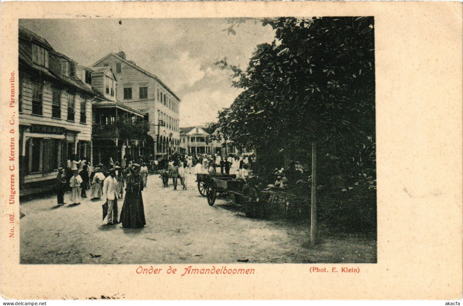 PC SURINAME ONDER DE AMANDELBOOMEN, VINTAGE POSTCARD (b413) - Suriname