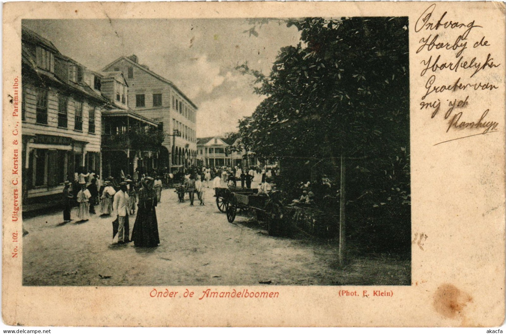 PC SURINAME PARAMARIBO, ONDER DE AMANDELBOOMEN, VINTAGE POSTCARD (b393) - Suriname