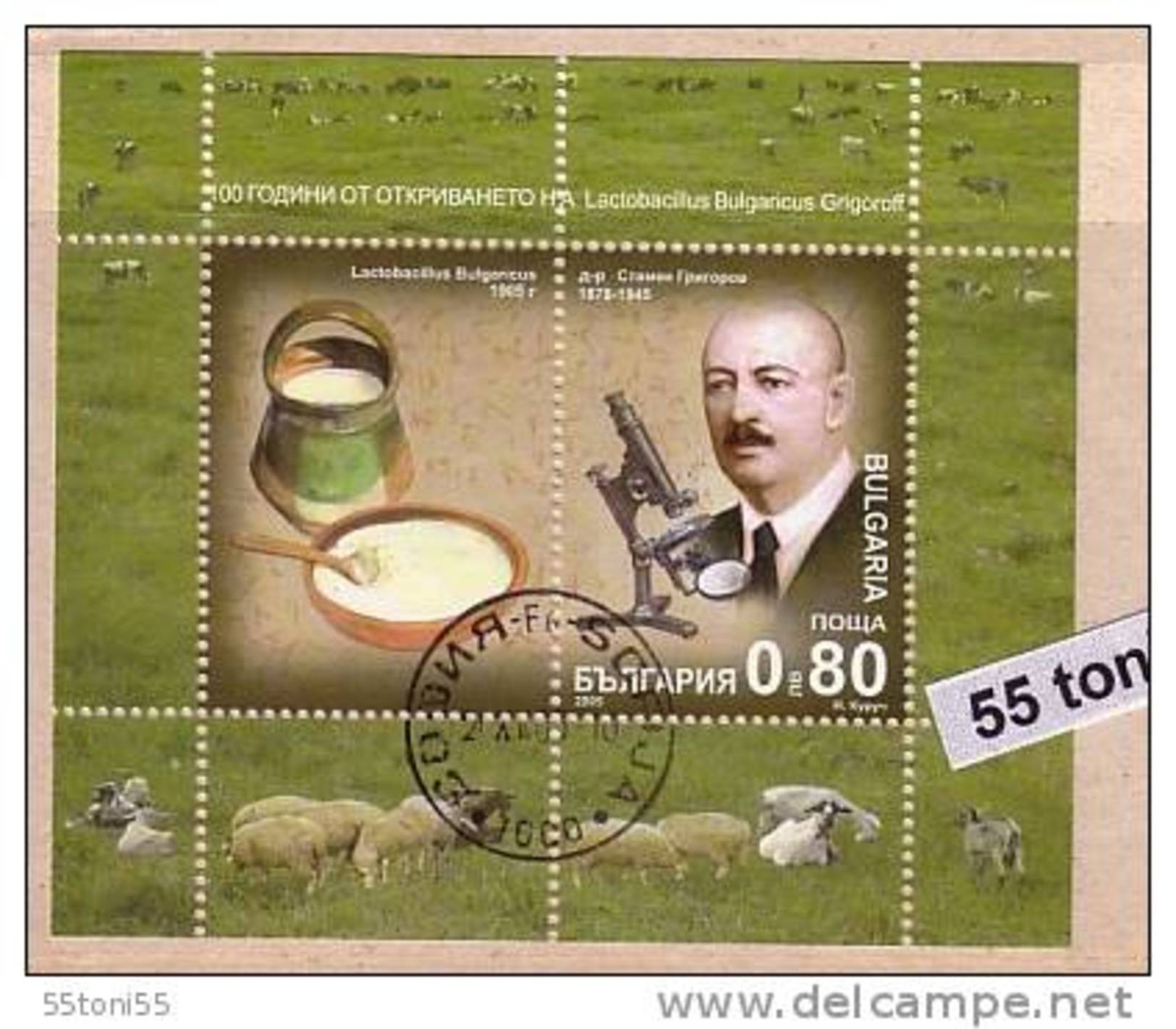 2005 Production Of Yoghurt (yogurt) S/S- Oblitere/used (O) Bulgaria/Bulgarie - Used Stamps