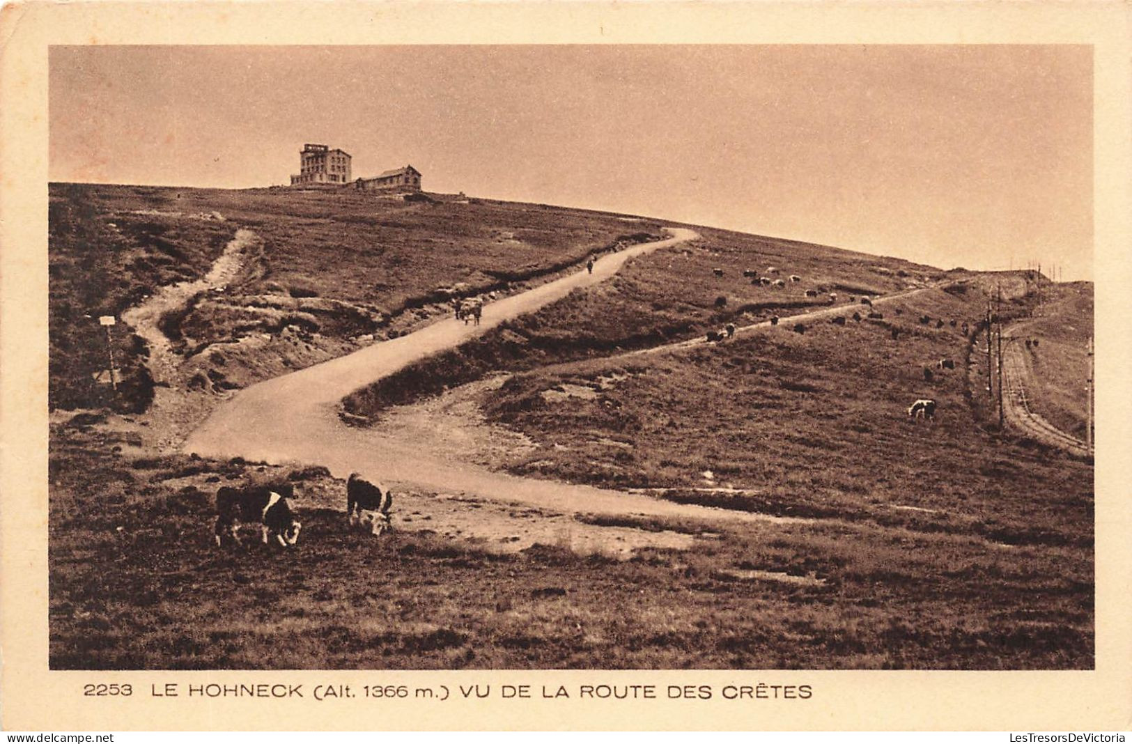 FRANCE - Le Hohneck - Vu De La Route Des Crêtes - Carte Postale Ancienne - Otros & Sin Clasificación