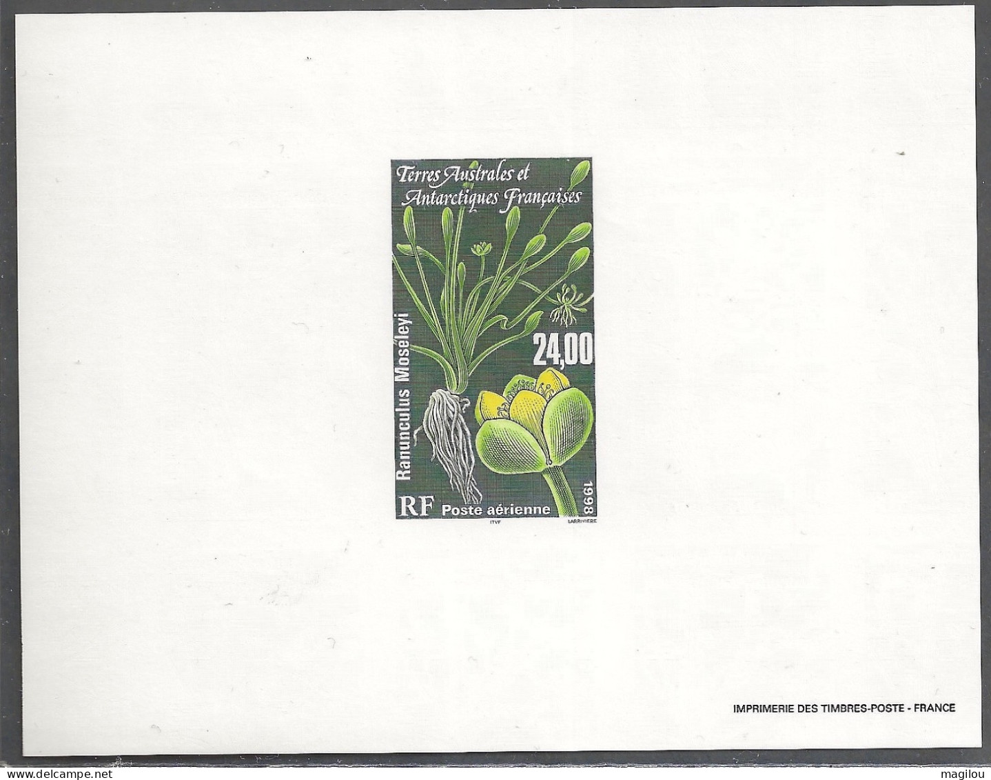 Feuillet Gommé Taaf/fsat Flore YVT PA 146 Mnh** - Imperforates, Proofs & Errors