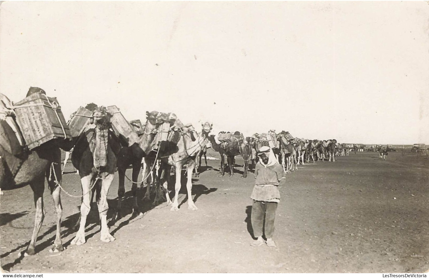 ASIE - Un Nomade Avec Des Dromadaires Dans Le Desert - Carte Postale Ancienne - Other & Unclassified