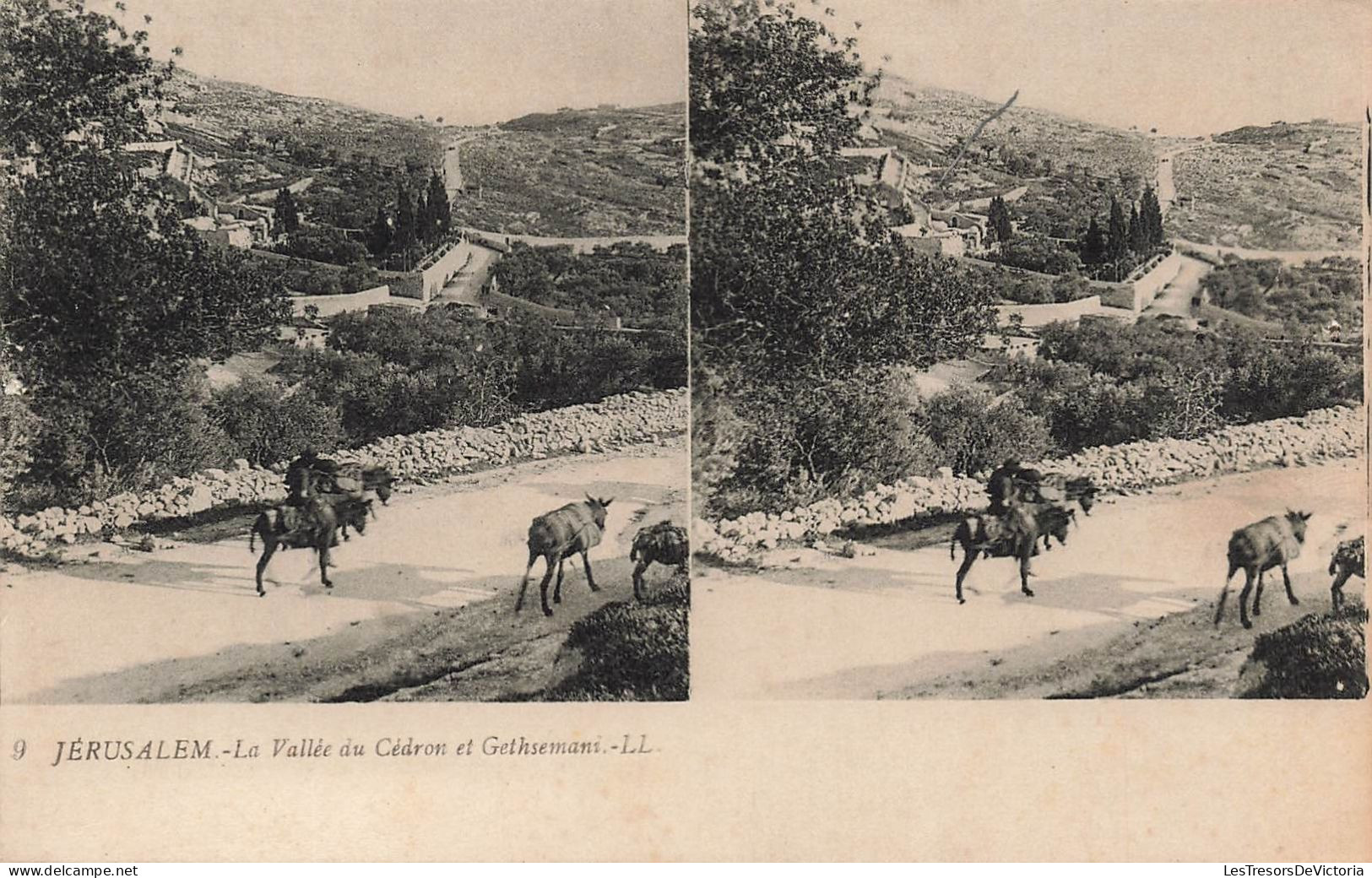 ISRAEL - Jerusalem - La Vallée Du Cédron Et Getsemani - LL. - Carte Postale Ancienne - Israele