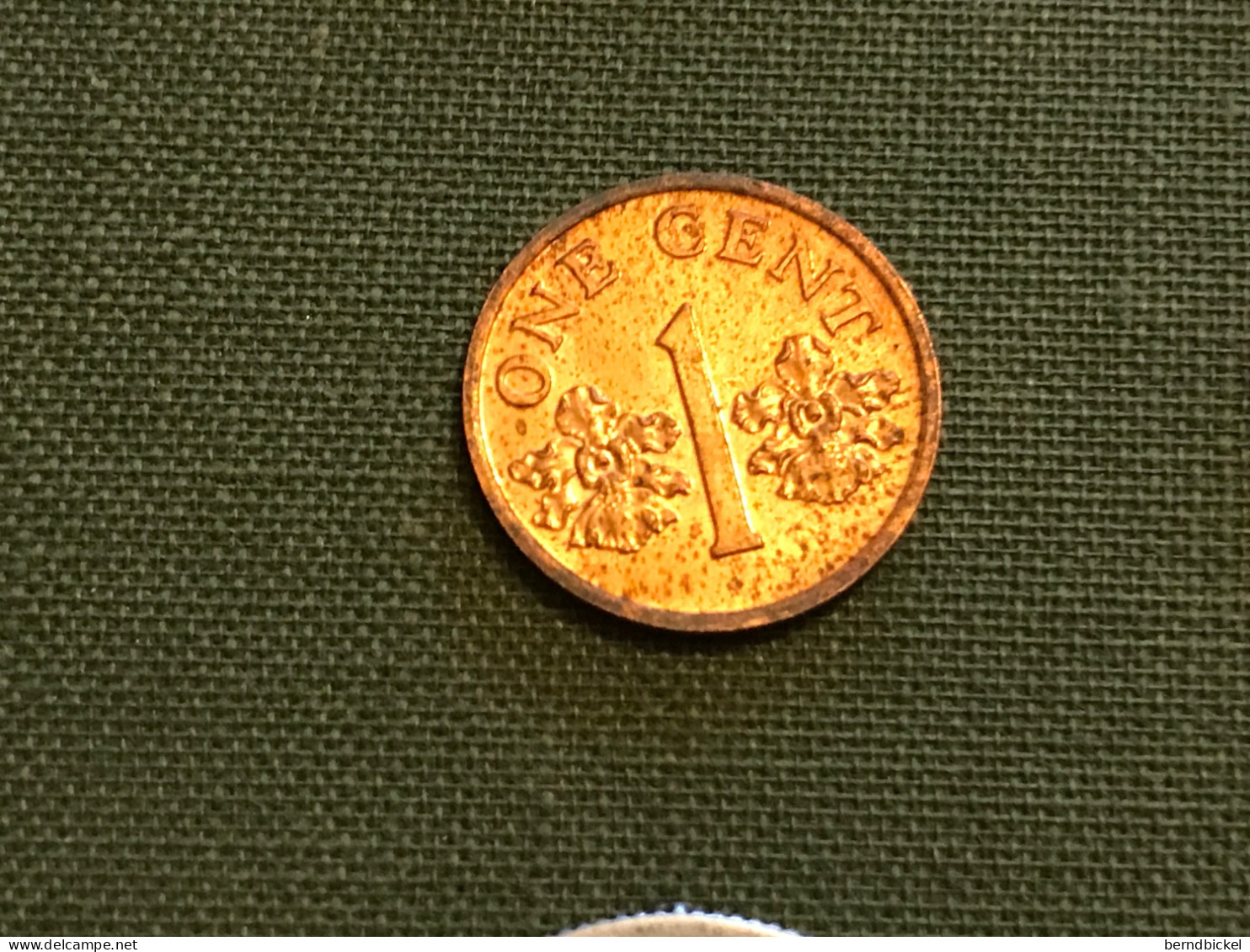 Münze Münzen Umlaufmünze Singapur 1 Cent 1990 - Singapur