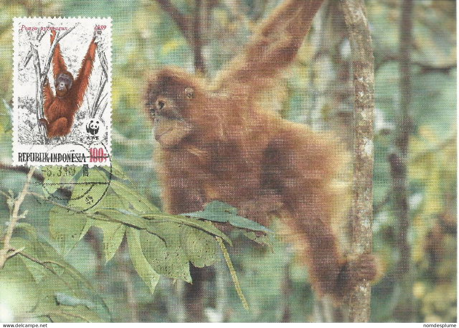 26029 ) Indonesia WWF 1989  Orangotan Monkey Ape Mammal Postcard Maxi Cover - Covers & Documents