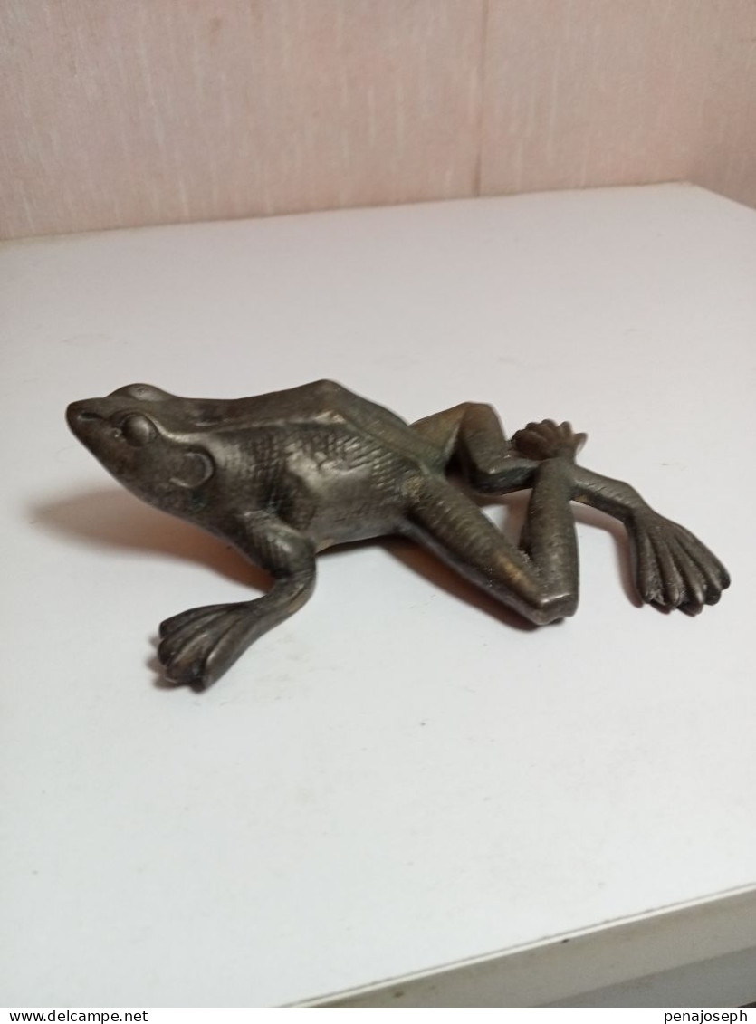 Grenouille En Bronze XIXème 13 Cm X 9 Cm Signé - Bronzes