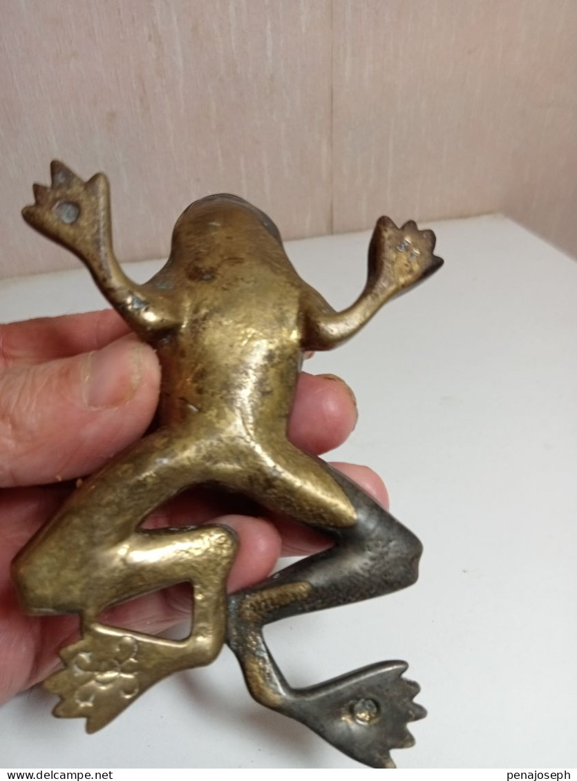 grenouille en bronze XIXème 13 cm x 9 cm signé