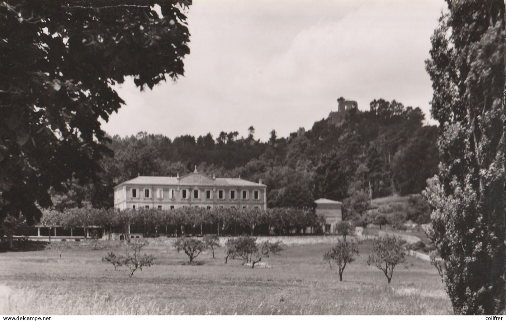 83 - Nans-les-Pins  -  Le Préventorium - Nans-les-Pins