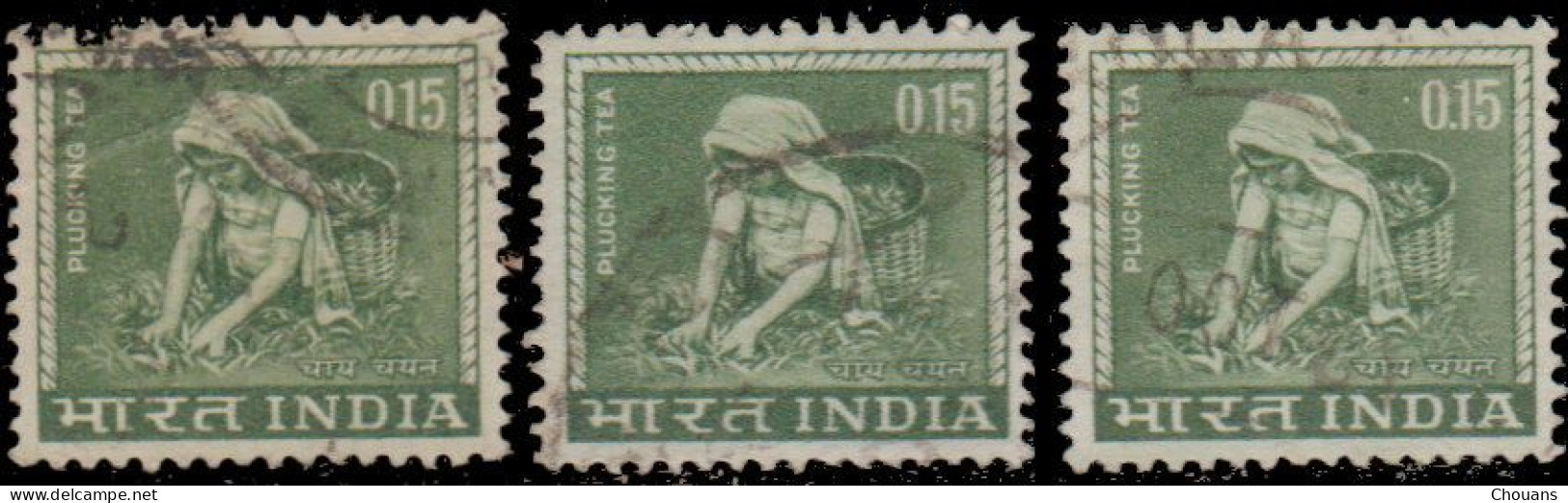 Inde 1965. ~ YT 193 (par 3) - Cueillette Du Thé - Unused Stamps