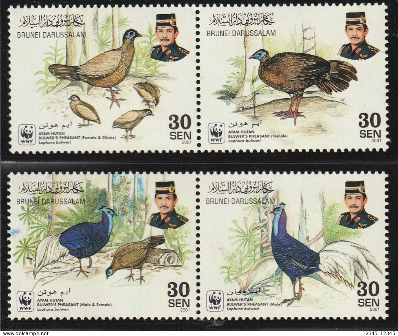 Brunei 2001, Postfris MNH, WWF, Bulwer's Pheasant - Brunei (1984-...)