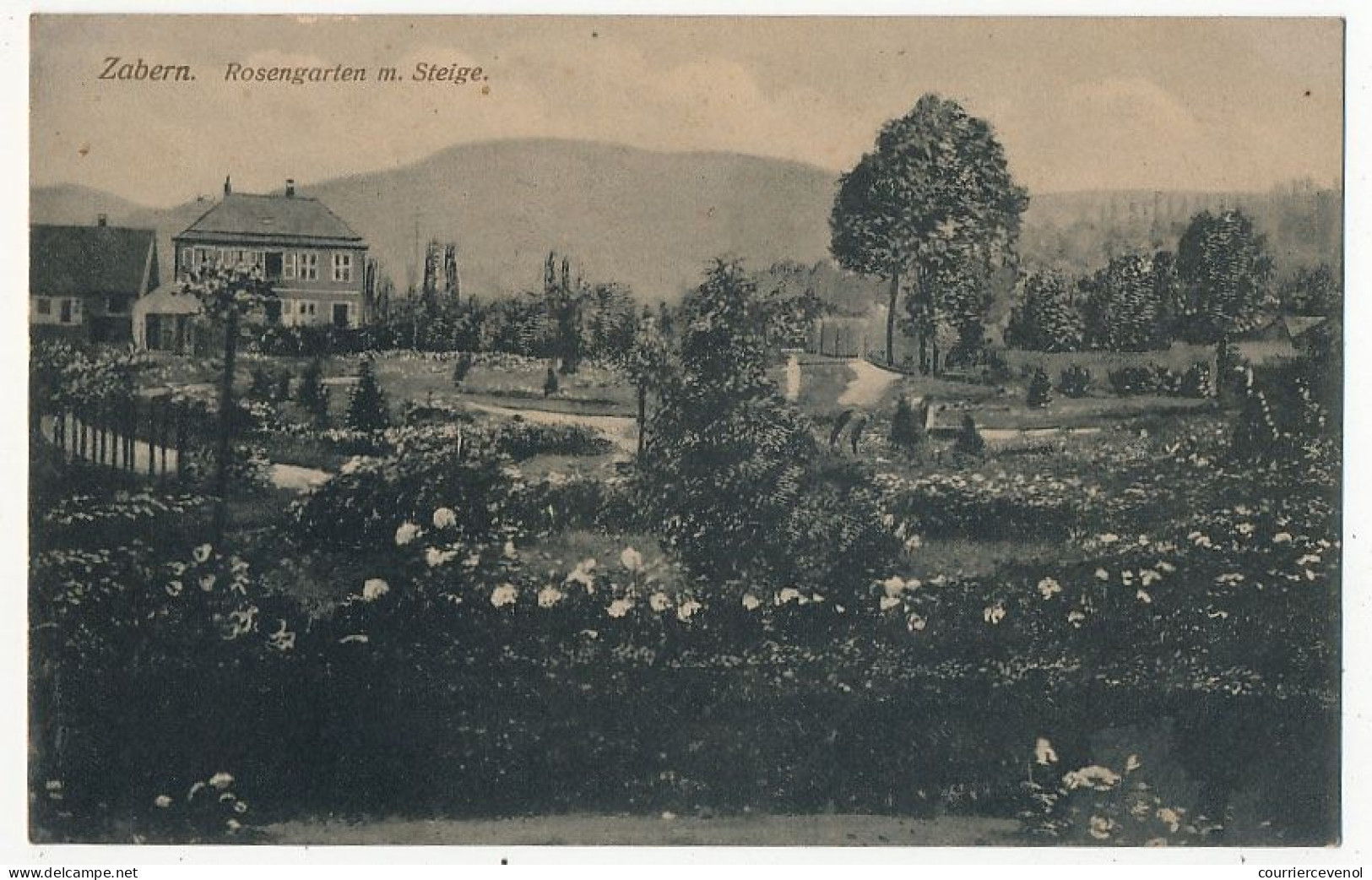 4 CPA - SAVERNE (ZABERN I.e) (Bas Rhin) - Partie An Der Zorn, Zabern Mit Hohbarr, Rosengarten, Rosengarten M.Steige - Saverne