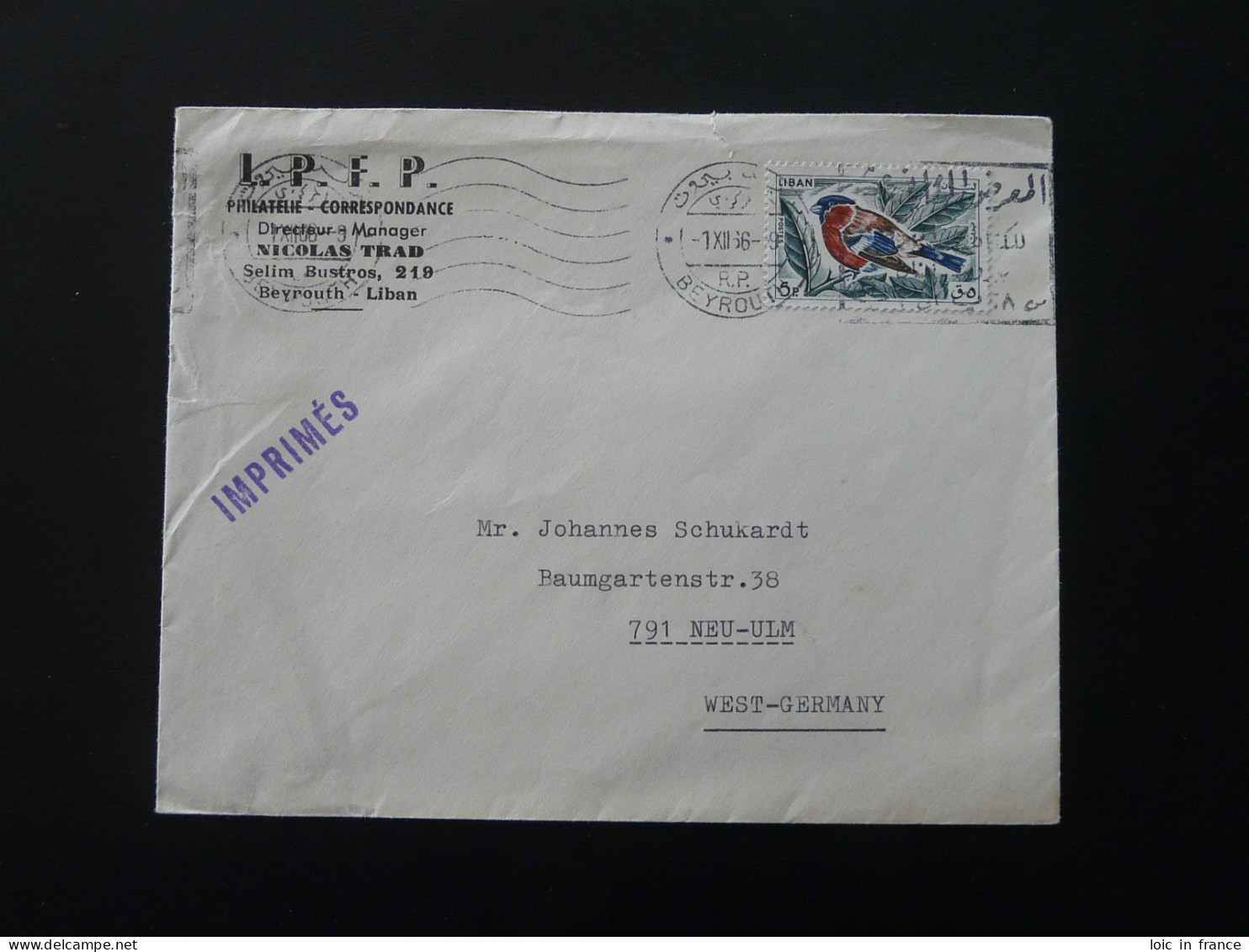 Lettre Cover Oiseau Bird Oblit. Beyrouth Liban Lebanon 1966 - Moineaux