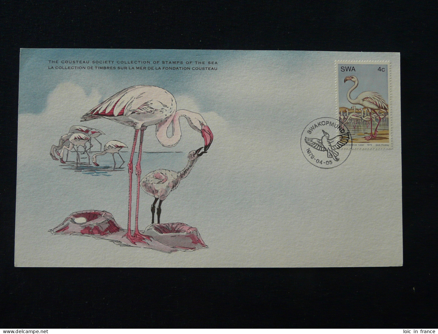 Carte Maximum Card Flamant Rose Pink Flamingo South West Africa 1979 - Flamants