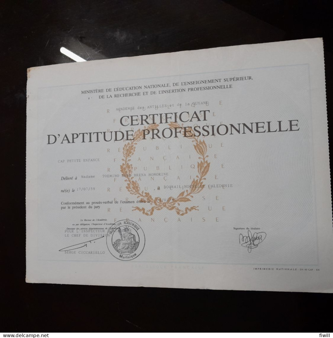 DIPLOME  CERTIFICAT D APTITUDE PROFESSIONNELLE  MARTINIQUE 1997 - Diplômes & Bulletins Scolaires