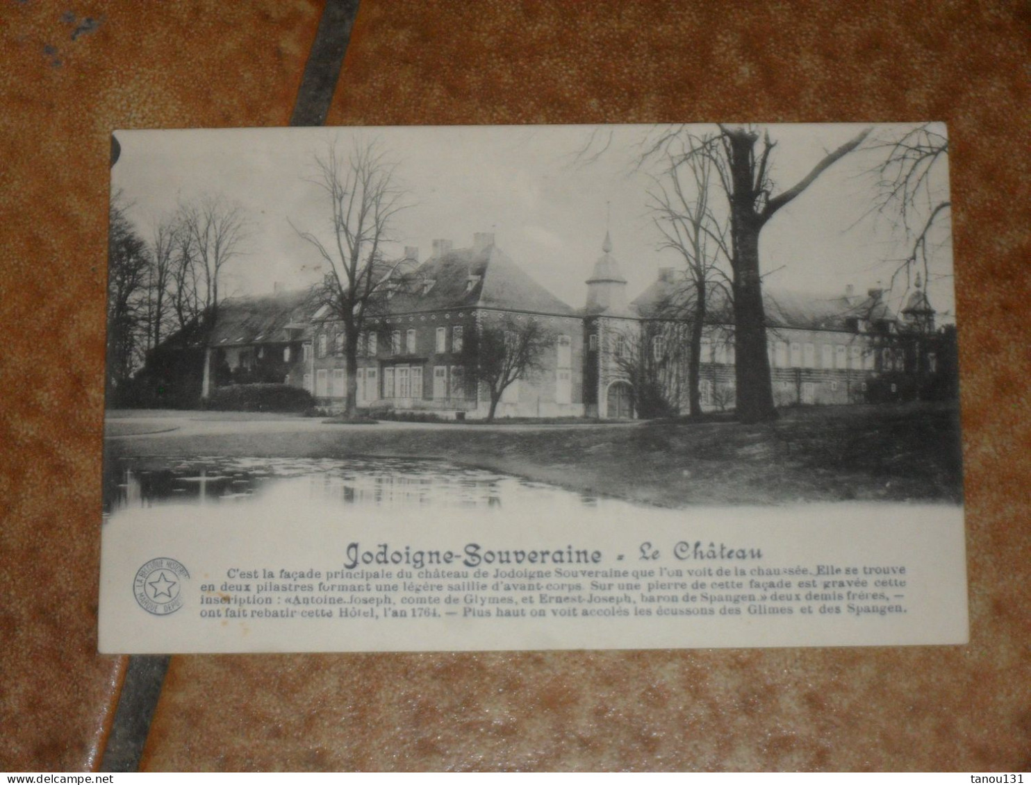 JODOIGNE-SOUVERAINE. LE CHATEAU - Geldenaken