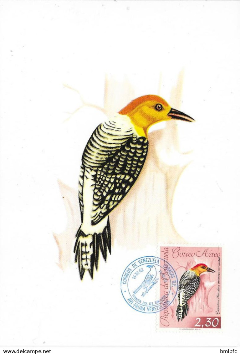 Republica De Venezuela 14-12-62  CARACAS -   Melanerpes Rubricapillus  -   Pic à Couronne Rouge - Picchio & Uccelli Scalatori