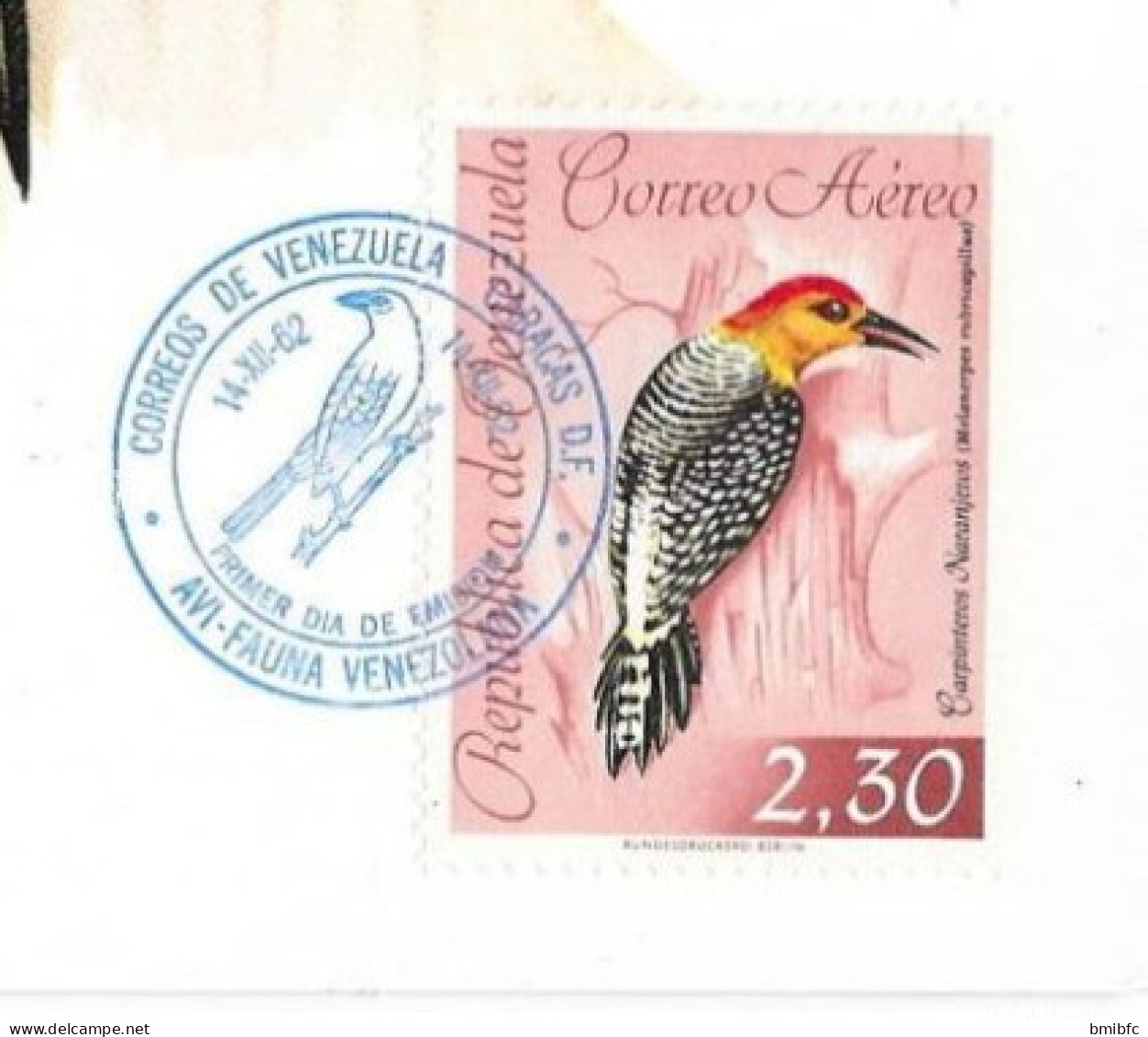 Republica De Venezuela 14-12-62  CARACAS -   Melanerpes Rubricapillus  -   Pic à Couronne Rouge - Picchio & Uccelli Scalatori