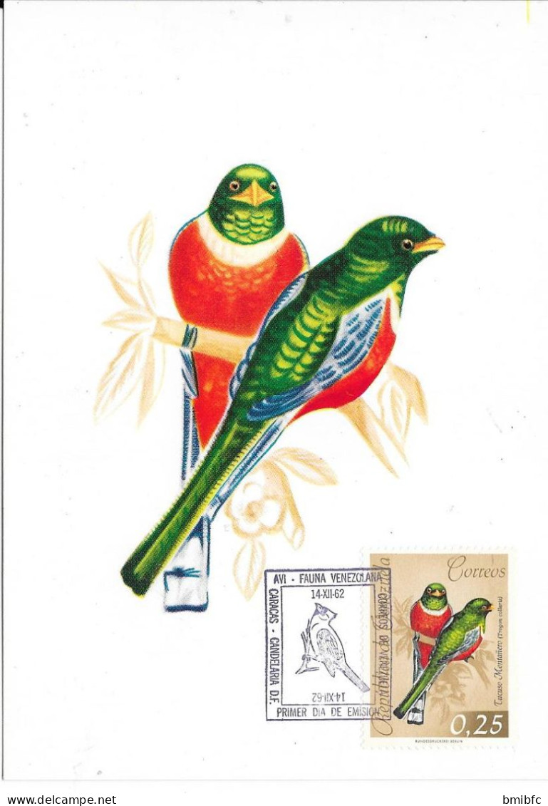 Republica De Venezuela 14-12-62   CARACAS -   Tucuso Montanero - Trogon Collaris - Specht- & Bartvögel