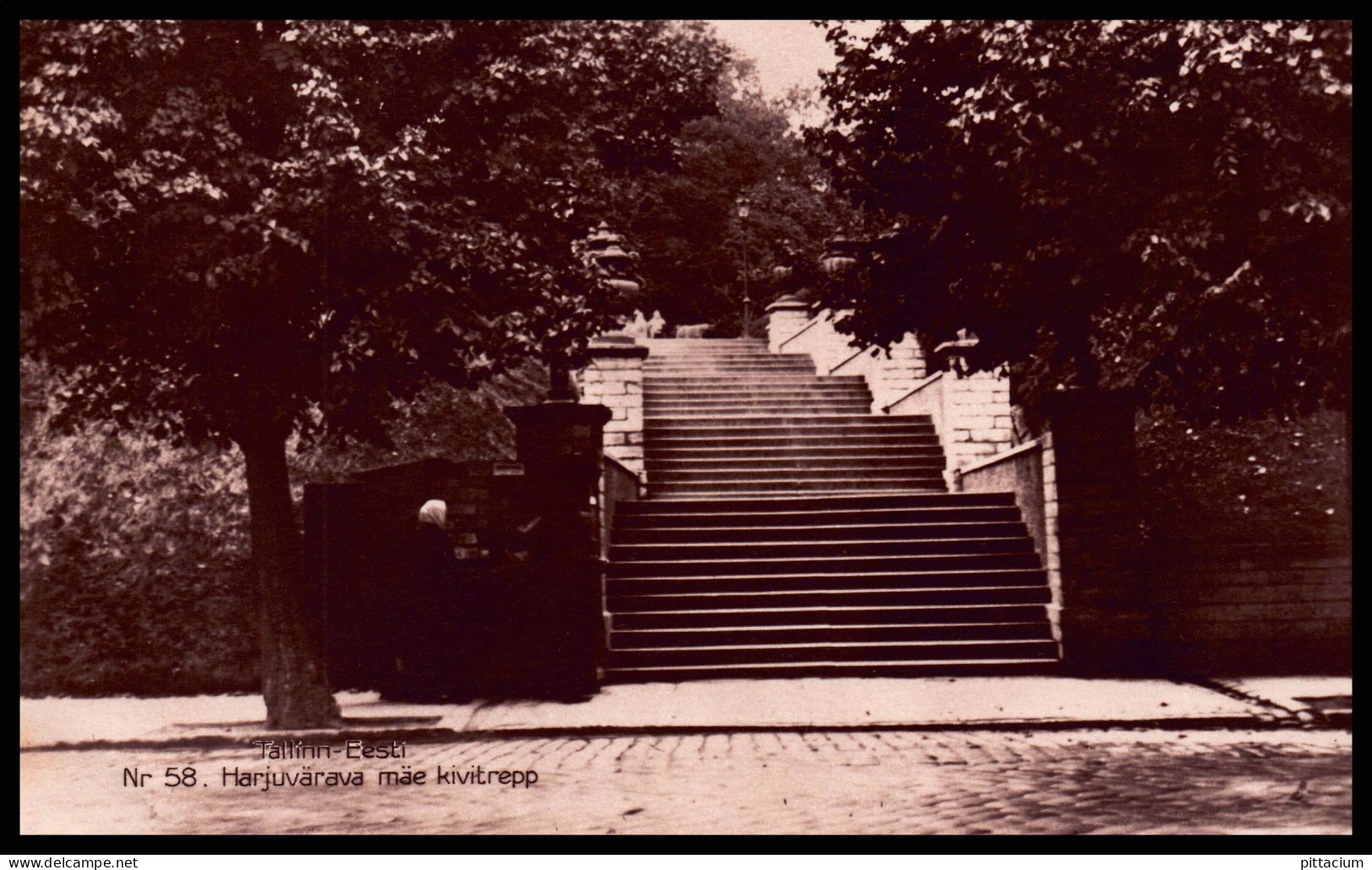 Estland 1930: Ansichtskarte  | Kultur, Treppe, Bäume  | - Estonie