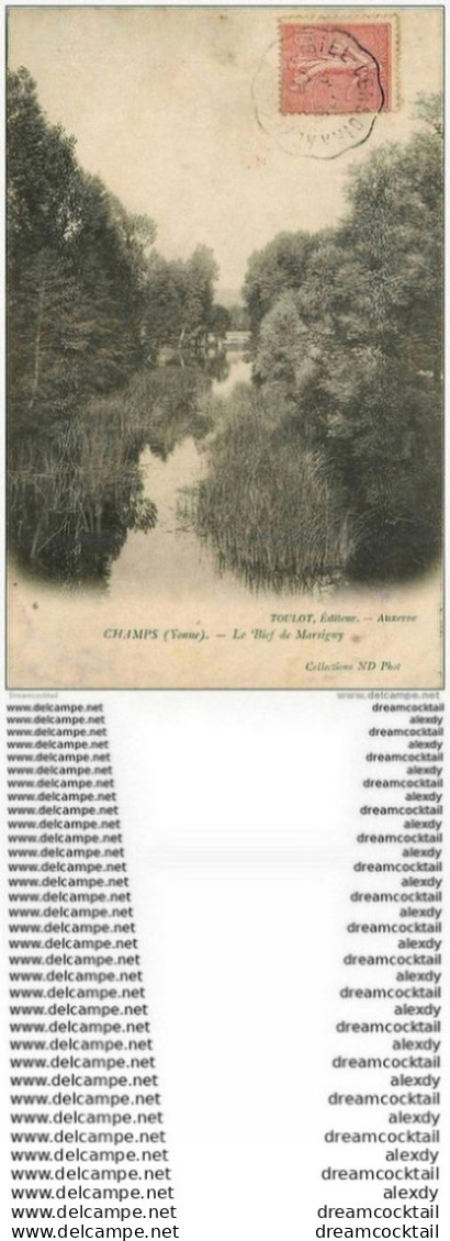 89 CHAMPS SUR YONNE. Le Bief De Marsigny 1906 - Champs Sur Yonne