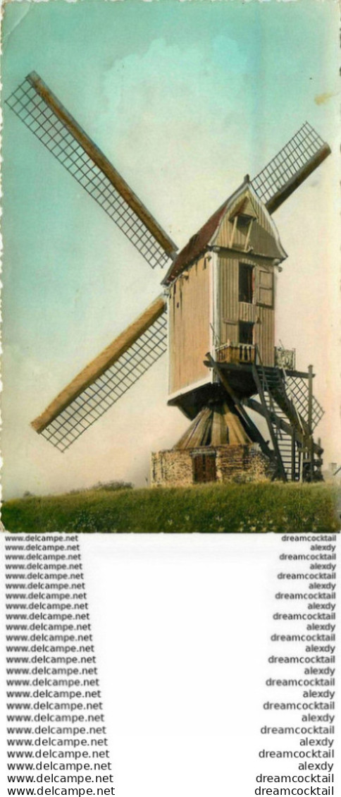 Photo Cpsm ROOSENDAAL - STANDAARDKORENMOLEN "DE HOOP" Moulin à Vents Aux Pays-Bas 1955 - Roosendaal
