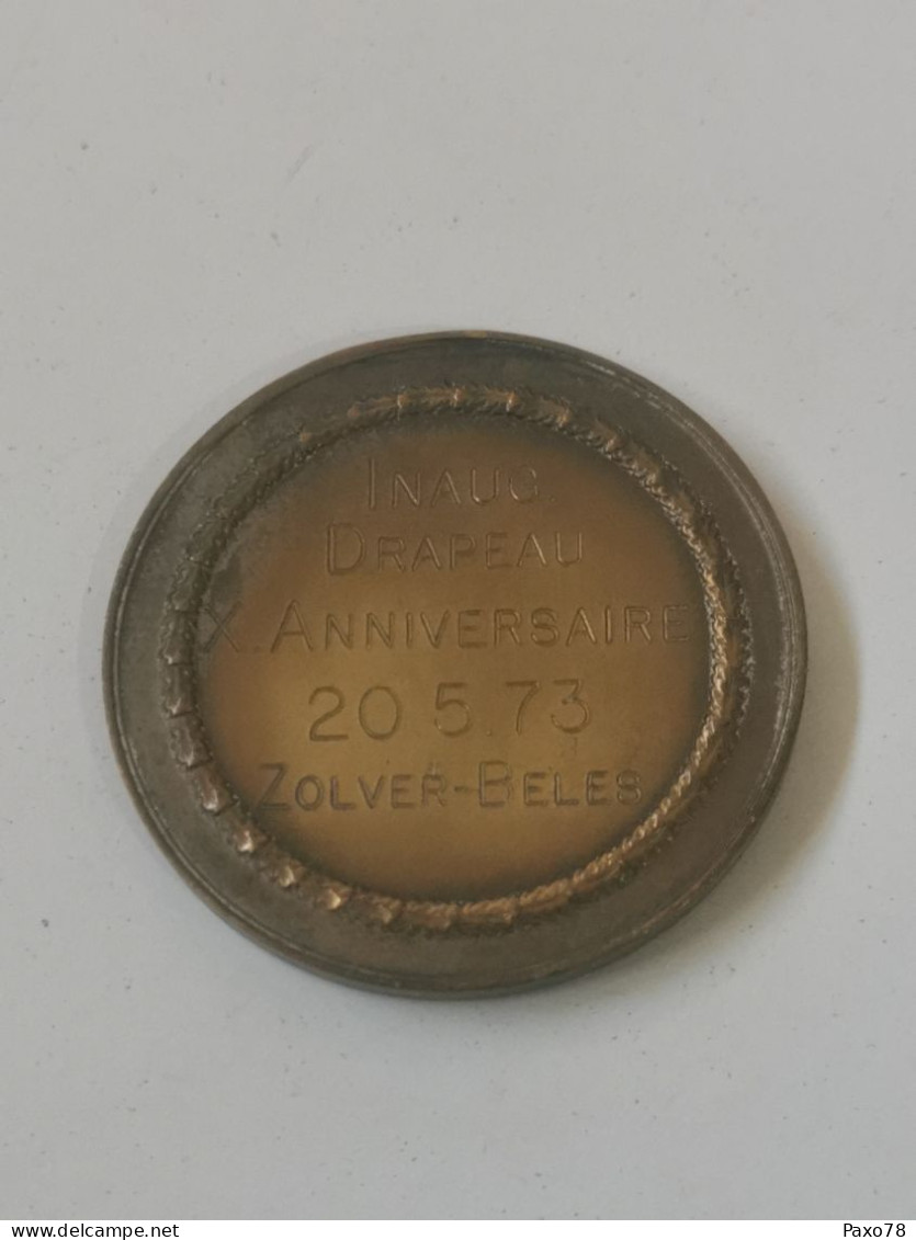 Luxembourg Médaille, Inauguration Drapeau, 10e Anniversaire 1973. Zolver-Beles - Altri & Non Classificati