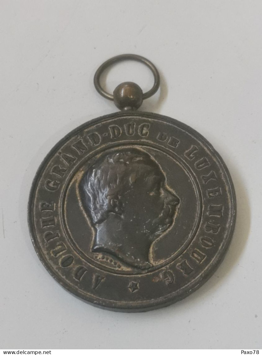 Luxembourg Médaille, Cercle Grand Ducal D'agriculture Et Horticulture De Luxembourg 1900 - Other & Unclassified